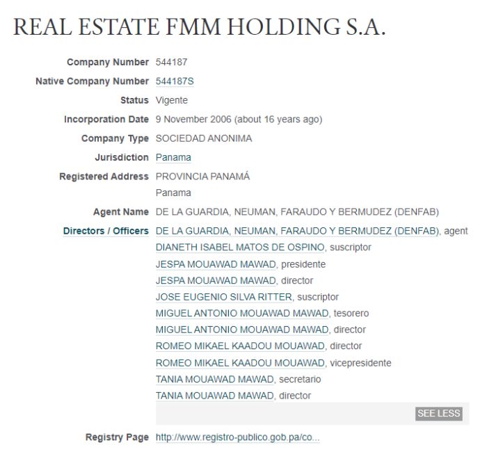 REAL-ESTATE-FMM-HOLDING-S.A.0911226501