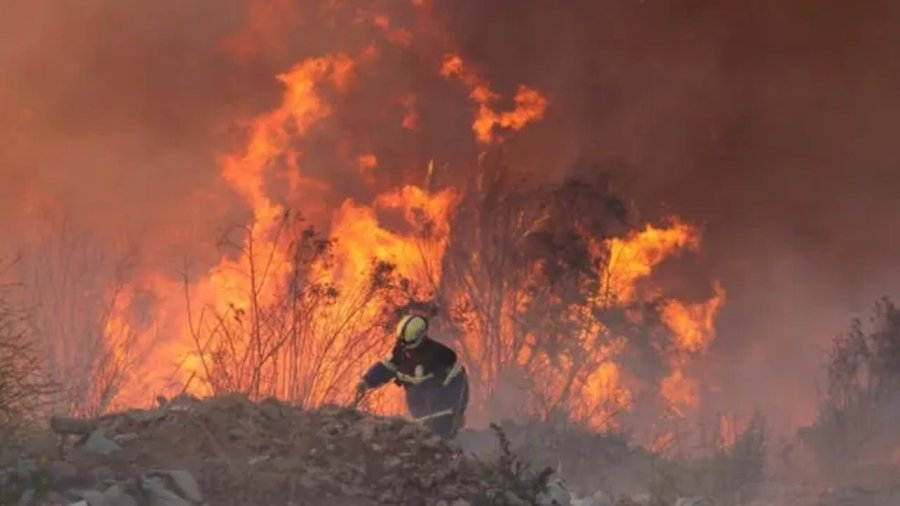 Chile emite alerta roja por incendios forestales (+Zonas riesgosas)